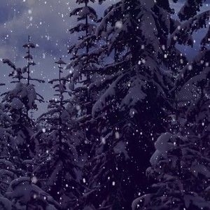 Meet your Posher, Dream